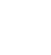Brunswick Trailer White Logo